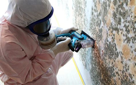 cleaning mud Singapore|mold removal in singapore.